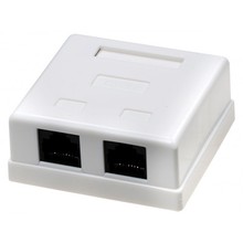 RJ-45x2 FD-6166 8р-8с 5 кат